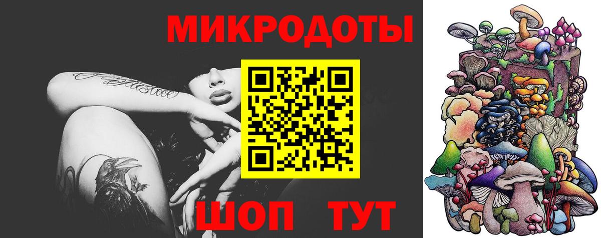 Галлюциногенные грибы Psilocybine cubensis Вязники