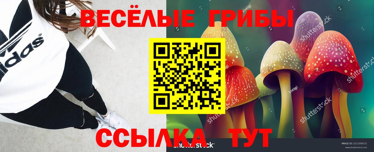 Псилоцибиновые грибы Cubensis  Вход с VPN  Галлюциногенные грибы ЛСД  Вязники 